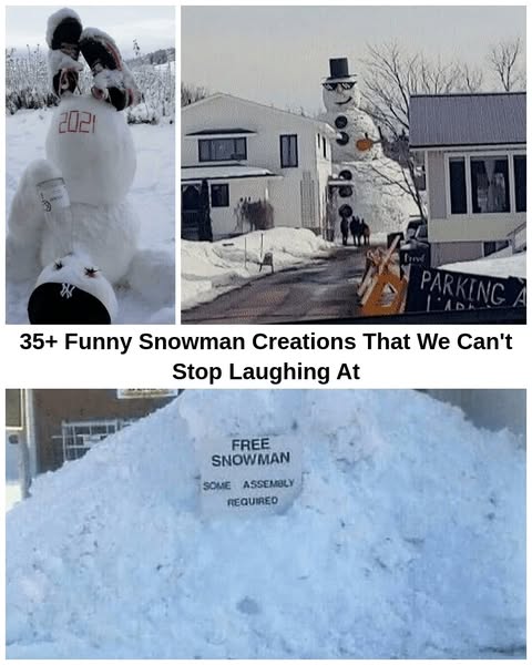 35+ Clever Snowman Ideas That We've Never Seen Before